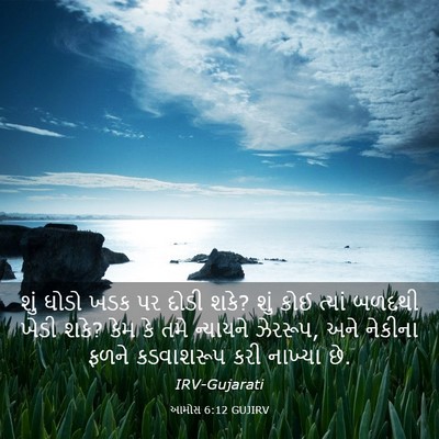 Picture 03 - આમોસ 6:12 GUJIRV - શું ઘોડો ખડક પર - Bible Verse Picture
