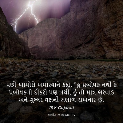 Picture 03 - આમોસ 7:14 GUJIRV - પછી આમોસે - Bible Verse Picture
