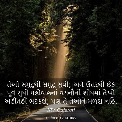 Picture 03 - આમોસ 8:12 GUJIRV - તેઓ સમુદ્રથી - Bible Verse Picture
