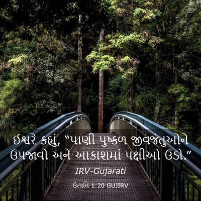 Picture 03 - ઉત્પત્તિ 1:20 GUJIRV - ઈશ્વરે કહ્યું, - Bible Verse Picture