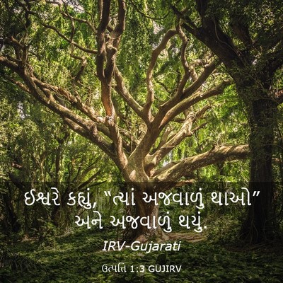 Picture 03 - ઉત્પત્તિ 1:3 GUJIRV - ઈશ્વરે કહ્યું, - Bible Verse Picture