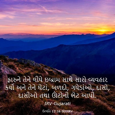 Picture 03 - ઉત્પત્તિ 12:16 GUJIRV - ફારુને તેને લીધે - Bible Verse Picture