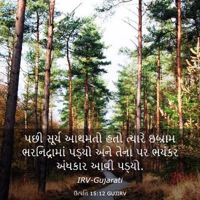 Picture 03 - ઉત્પત્તિ 15:12 GUJIRV - પછી સૂર્ય આથમતો - Bible Verse Picture
