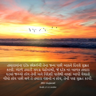 Picture 03 - ઉત્પત્તિ 17:12 GUJIRV - તમારામાંના દરેક - Bible Verse Picture