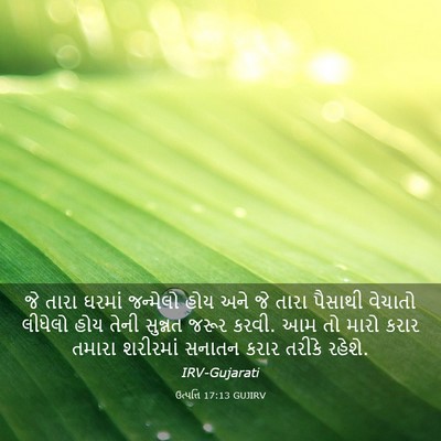 Picture 03 - ઉત્પત્તિ 17:13 GUJIRV - જે તારા ઘરમાં - Bible Verse Picture