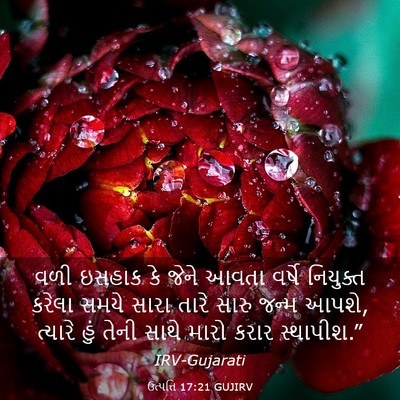 Picture 03 - ઉત્પત્તિ 17:21 GUJIRV - વળી ઇસહાક કે જેને - Bible Verse Picture