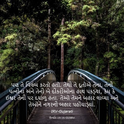 Picture 03 - ઉત્પત્તિ 19:16 GUJIRV - પણ તે વિલંબ કરતો - Bible Verse Picture