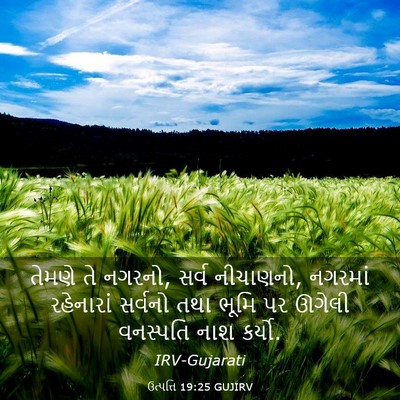 Picture 03 - ઉત્પત્તિ 19:25 GUJIRV - તેમણે તે નગરનો, - Bible Verse Picture