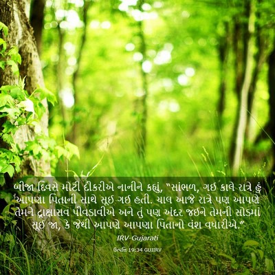 Picture 03 - ઉત્પત્તિ 19:34 GUJIRV - બીજા દિવસે મોટી - Bible Verse Picture