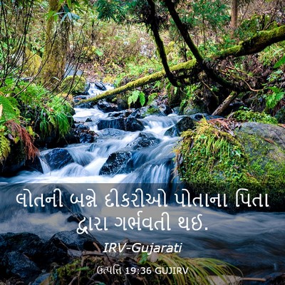 Picture 03 - ઉત્પત્તિ 19:36 GUJIRV - લોતની બન્ને - Bible Verse Picture