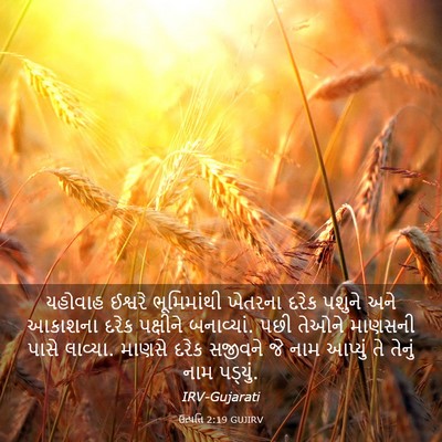 Picture 03 - ઉત્પત્તિ 2:19 GUJIRV - યહોવાહ ઈશ્વરે - Bible Verse Picture
