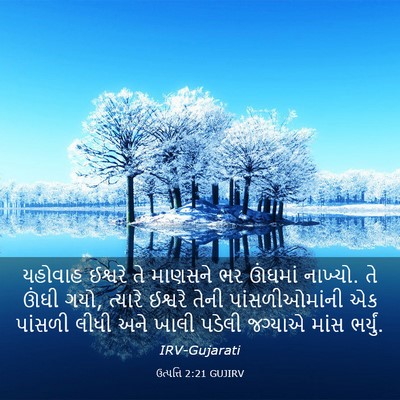 Picture 03 - ઉત્પત્તિ 2:21 GUJIRV - યહોવાહ ઈશ્વરે તે - Bible Verse Picture
