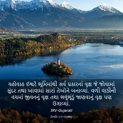 Picture 03 - ઉત્પત્તિ 2:9 GUJIRV - યહોવાહ ઈશ્વરે - Bible Verse Picture