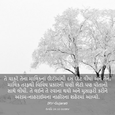 Picture 03 - ઉત્પત્તિ 24:10 GUJIRV - તે ચાકરે તેના - Bible Verse Picture