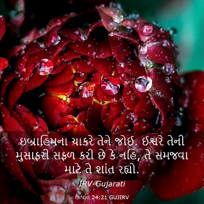 Picture 03 - ઉત્પત્તિ 24:21 GUJIRV - ઇબ્રાહિમના ચાકરે - Bible Verse Picture