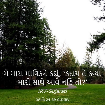 Picture 03 - ઉત્પત્તિ 24:39 GUJIRV - મેં મારા માલિકને - Bible Verse Picture