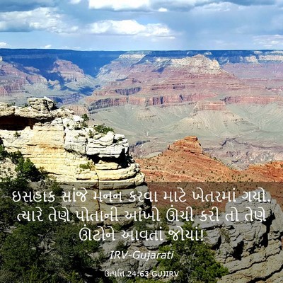 Picture 03 - ઉત્પત્તિ 24:63 GUJIRV - ઇસહાક સાંજે મનન - Bible Verse Picture