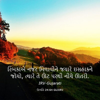 Picture 03 - ઉત્પત્તિ 24:64 GUJIRV - રિબકાએ નજર - Bible Verse Picture