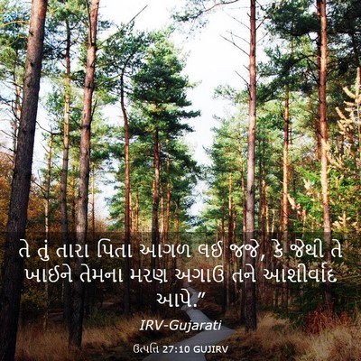 Picture 03 - ઉત્પત્તિ 27:10 GUJIRV - તે તું તારા પિતા - Bible Verse Picture