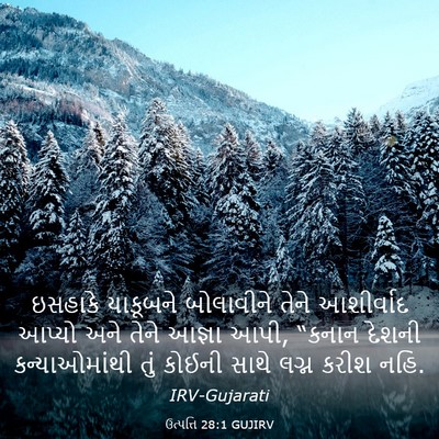 Picture 03 - ઉત્પત્તિ 28:1 GUJIRV - ઇસહાકે યાકૂબને - Bible Verse Picture