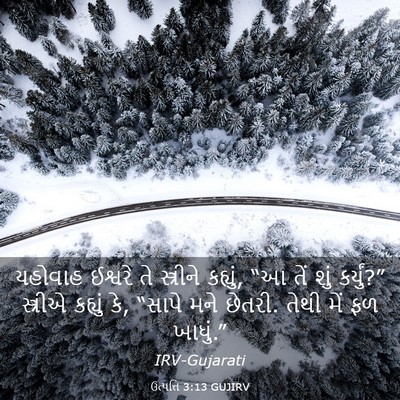 Picture 03 - ઉત્પત્તિ 3:13 GUJIRV - યહોવાહ ઈશ્વરે તે - Bible Verse Picture