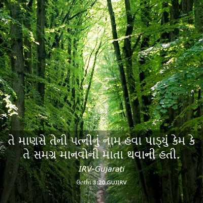 Picture 03 - ઉત્પત્તિ 3:20 GUJIRV - તે માણસે તેની - Bible Verse Picture