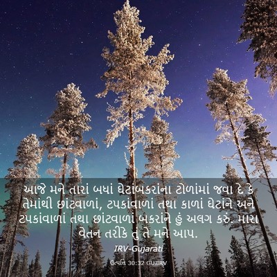 Picture 03 - ઉત્પત્તિ 30:32 GUJIRV - આજે મને તારાં બધાં - Bible Verse Picture