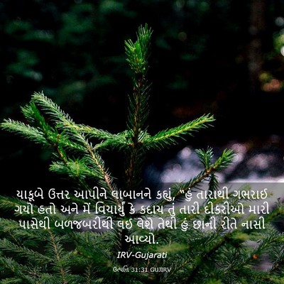 Picture 03 - ઉત્પત્તિ 31:31 GUJIRV - યાકૂબે ઉત્તર - Bible Verse Picture