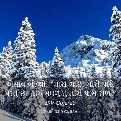 Picture 03 - ઉત્પત્તિ 33:9 GUJIRV - એસાવ બોલ્યો, “મારા - Bible Verse Picture