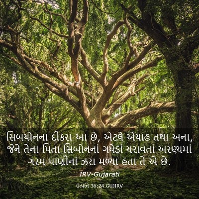 Picture 03 - ઉત્પત્તિ 36:24 GUJIRV - સિબયોનના દીકરા આ - Bible Verse Picture