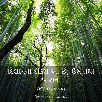 Picture 03 - ઉત્પત્તિ 36:28 GUJIRV - દિશાનના દીકરા આ છે; - Bible Verse Picture