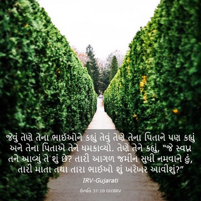 Picture 03 - ઉત્પત્તિ 37:10 GUJIRV - જેવું તેણે તેના - Bible Verse Picture