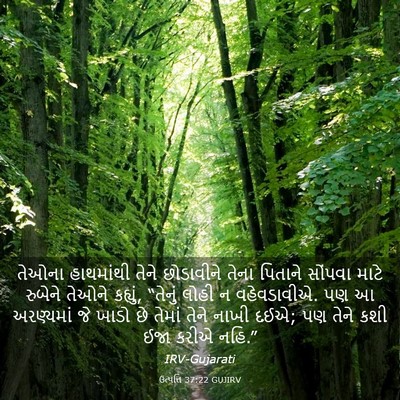 Picture 03 - ઉત્પત્તિ 37:22 GUJIRV - તેઓના હાથમાંથી - Bible Verse Picture