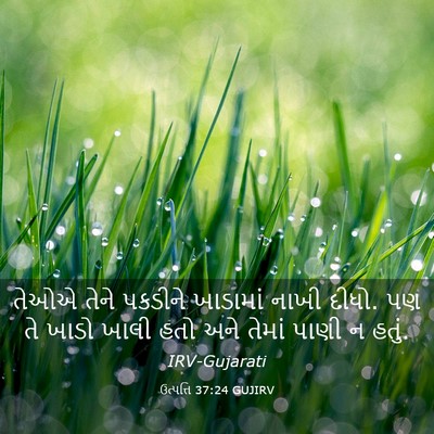 Picture 03 - ઉત્પત્તિ 37:24 GUJIRV - તેઓએ તેને પકડીને - Bible Verse Picture