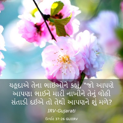 Picture 03 - ઉત્પત્તિ 37:26 GUJIRV - યહૂદાએ તેના - Bible Verse Picture