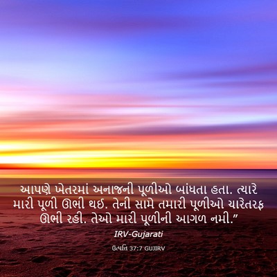 Picture 03 - ઉત્પત્તિ 37:7 GUJIRV - આપણે ખેતરમાં - Bible Verse Picture