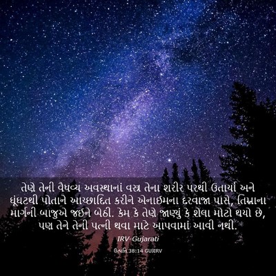 Picture 03 - ઉત્પત્તિ 38:14 GUJIRV - તેણે તેની વૈધવ્ય - Bible Verse Picture