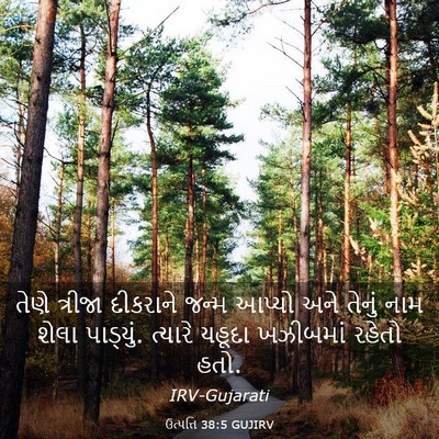 Picture 03 - ઉત્પત્તિ 38:5 GUJIRV - તેણે ત્રીજા - Bible Verse Picture