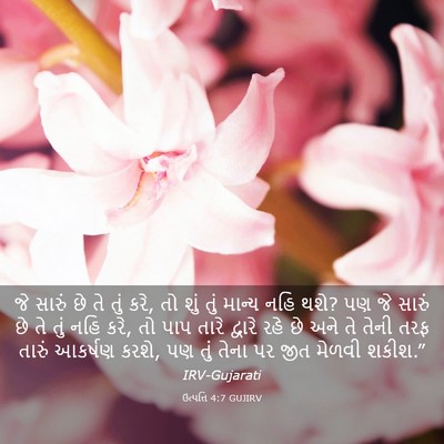 Picture 03 - ઉત્પત્તિ 4:7 GUJIRV - જે સારું છે તે તું - Bible Verse Picture