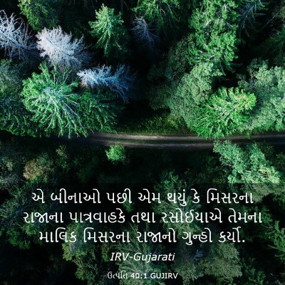 Picture 03 - ઉત્પત્તિ 40:1 GUJIRV - એ બીનાઓ પછી એમ થયું - Bible Verse Picture