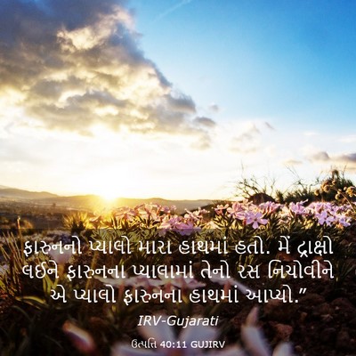 Picture 03 - ઉત્પત્તિ 40:11 GUJIRV - ફારુનનો પ્યાલો - Bible Verse Picture