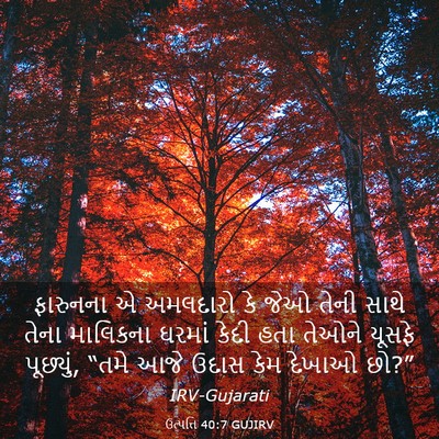 Picture 03 - ઉત્પત્તિ 40:7 GUJIRV - ફારુનના એ અમલદારો - Bible Verse Picture