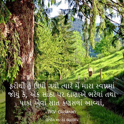 Picture 03 - ઉત્પત્તિ 41:22 GUJIRV - ફરીથી હું ઊંધી ગયો - Bible Verse Picture