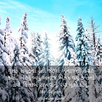 Picture 03 - ઉત્પત્તિ 41:49 GUJIRV - યૂસફે સમુદ્રની - Bible Verse Picture