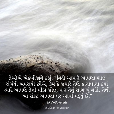 Picture 03 - ઉત્પત્તિ 42:21 GUJIRV - તેઓએ એકબીજાને - Bible Verse Picture