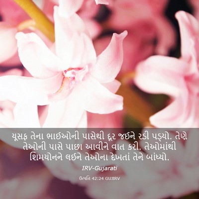 Picture 03 - ઉત્પત્તિ 42:24 GUJIRV - યૂસફ તેના ભાઈઓની - Bible Verse Picture