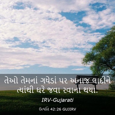 Picture 03 - ઉત્પત્તિ 42:26 GUJIRV - તેઓ તેમનાં ગધેડાં - Bible Verse Picture