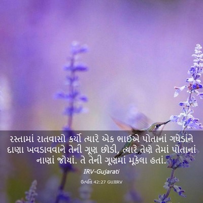 Picture 03 - ઉત્પત્તિ 42:27 GUJIRV - રસ્તામાં રાતવાસો - Bible Verse Picture