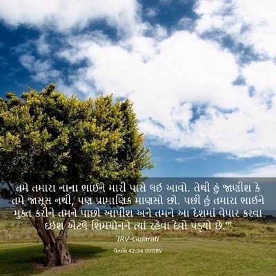 Picture 03 - ઉત્પત્તિ 42:34 GUJIRV - તમે તમારા નાના - Bible Verse Picture