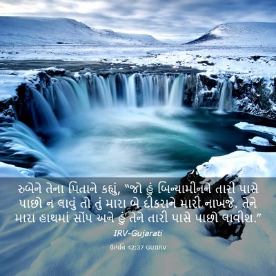Picture 03 - ઉત્પત્તિ 42:37 GUJIRV - રુબેને તેના - Bible Verse Picture